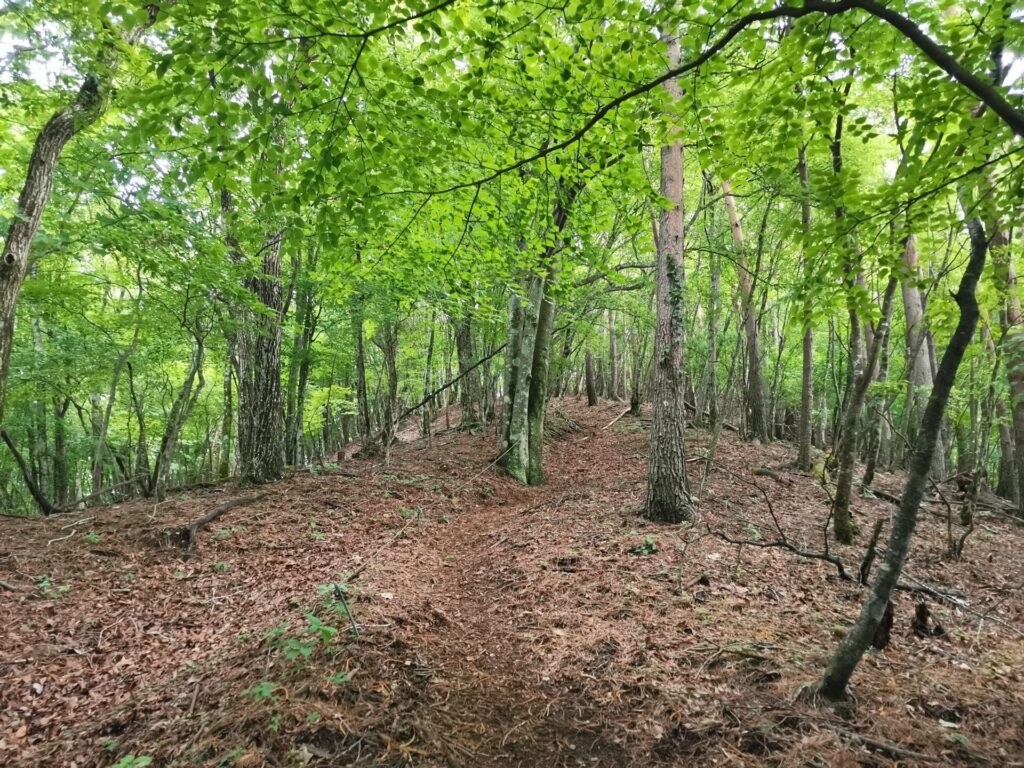 登山道