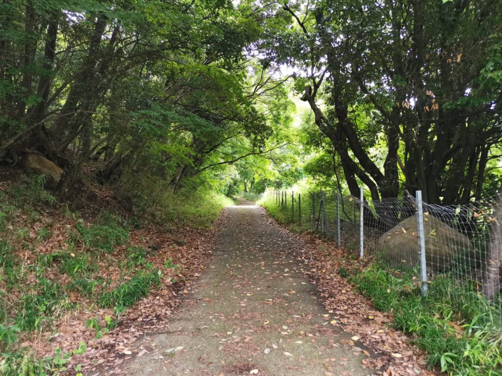 登山道