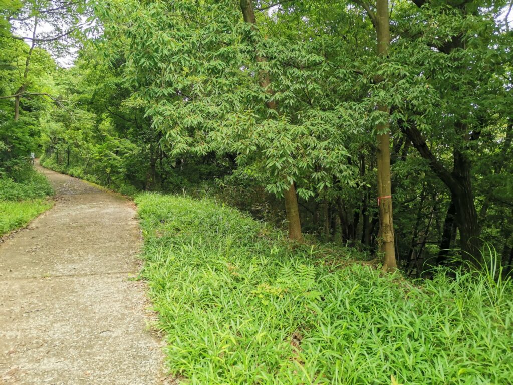 登山道