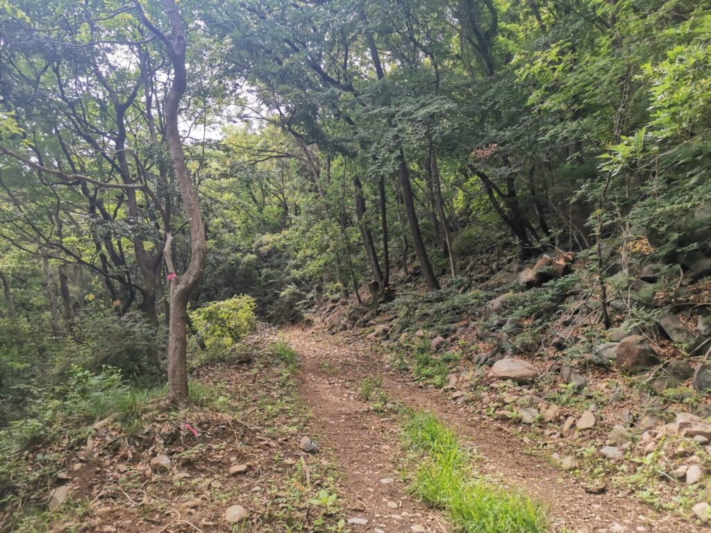 登山道