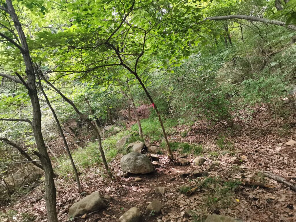 登山道