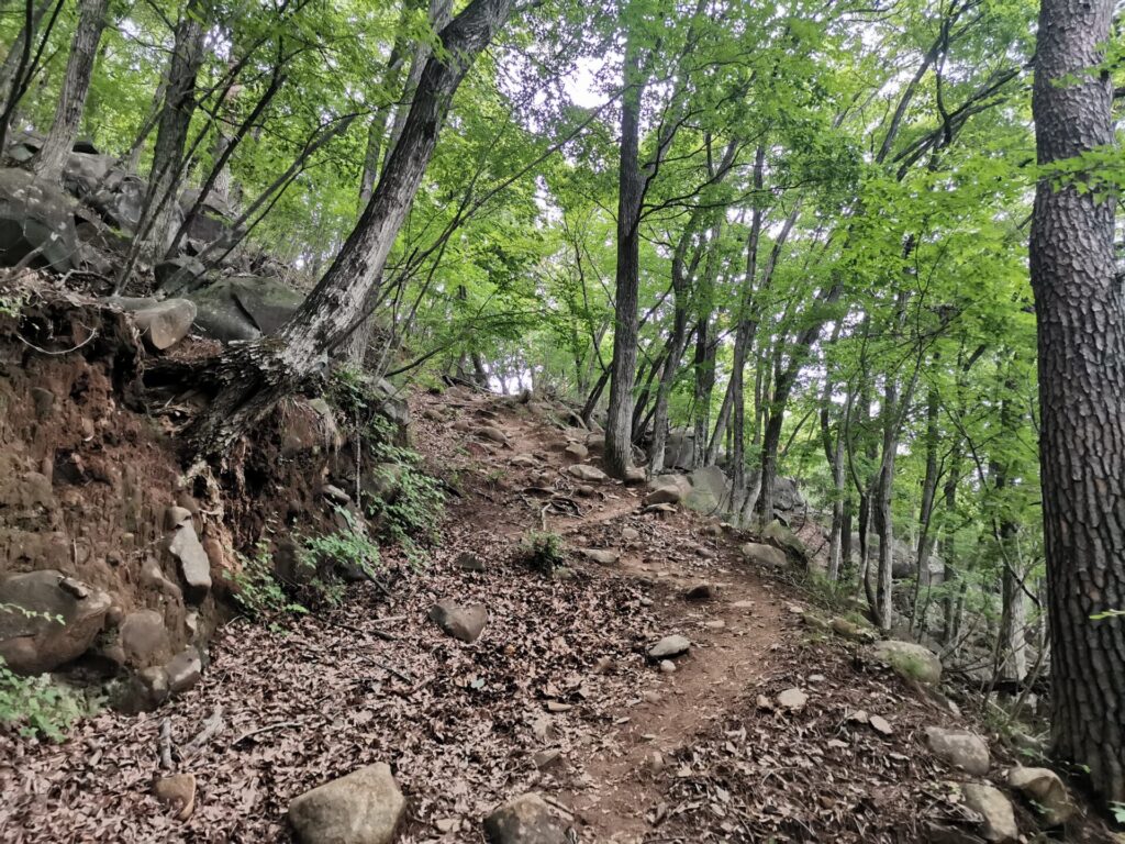 登山道