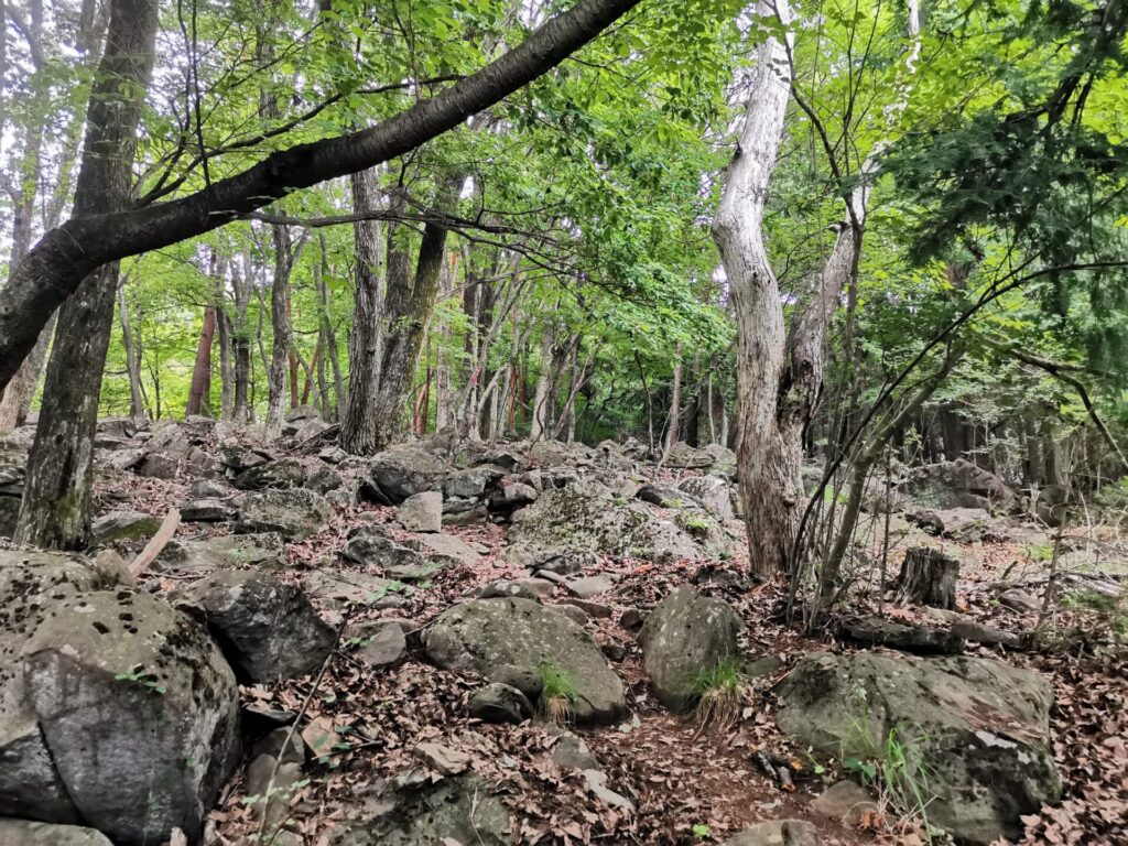 登山道 岩