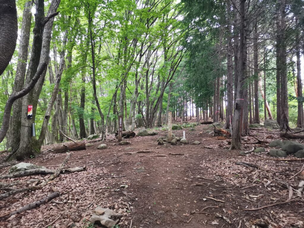 大蔵経寺山 山頂