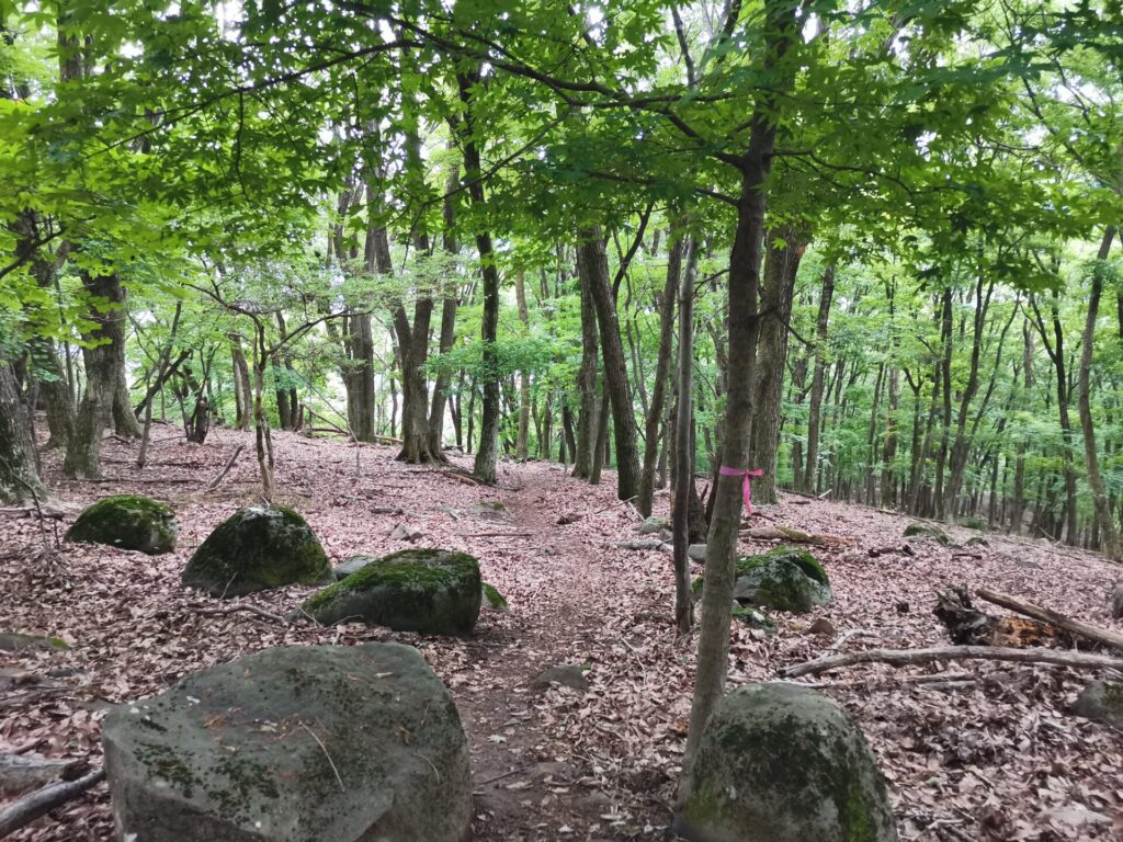 登山道