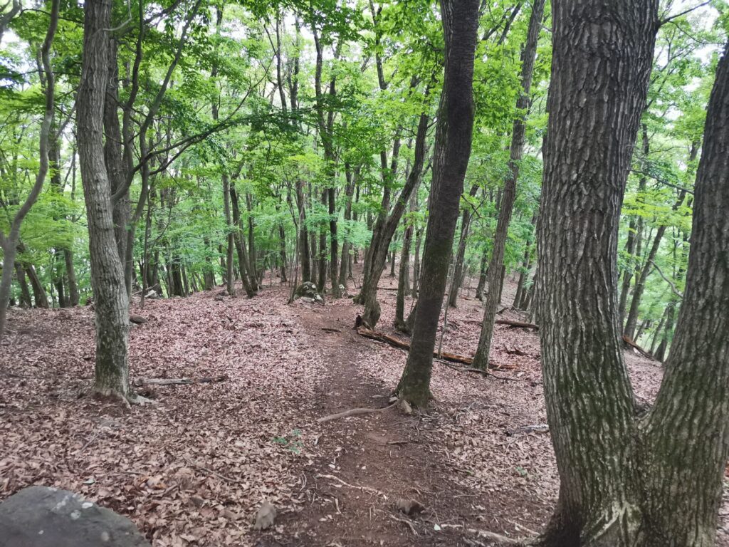 登山道