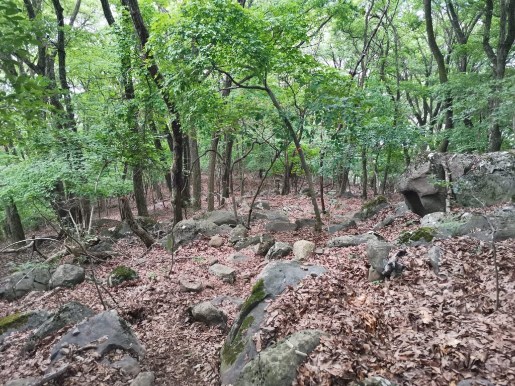 登山道 岩