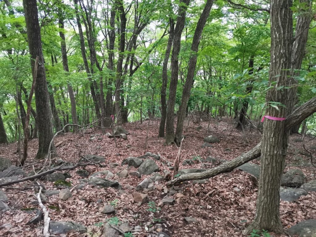 登山道 ピンクリボン