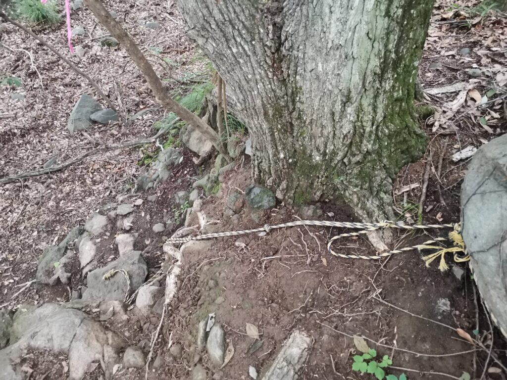 登山道 ロープ