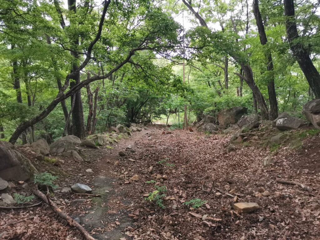 登山道