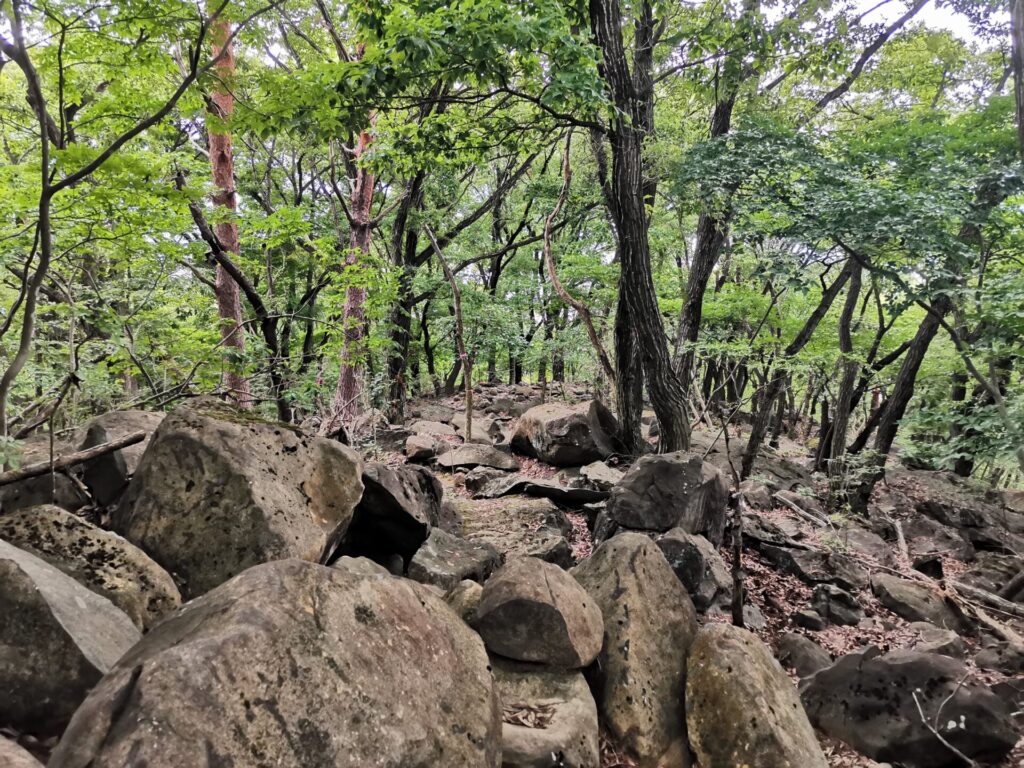 登山道 岩