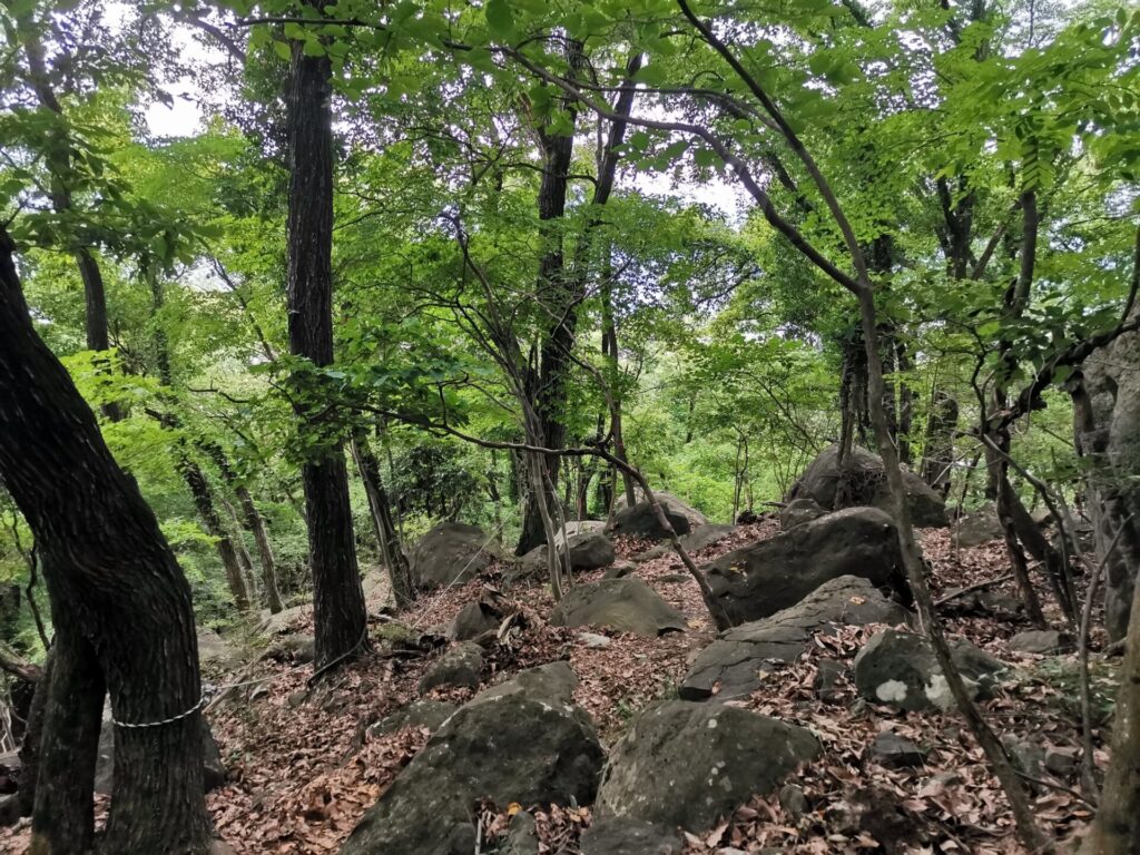 登山道