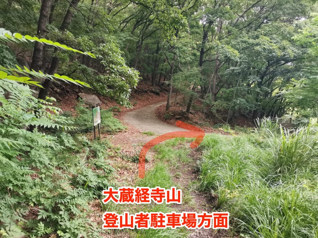 登山道