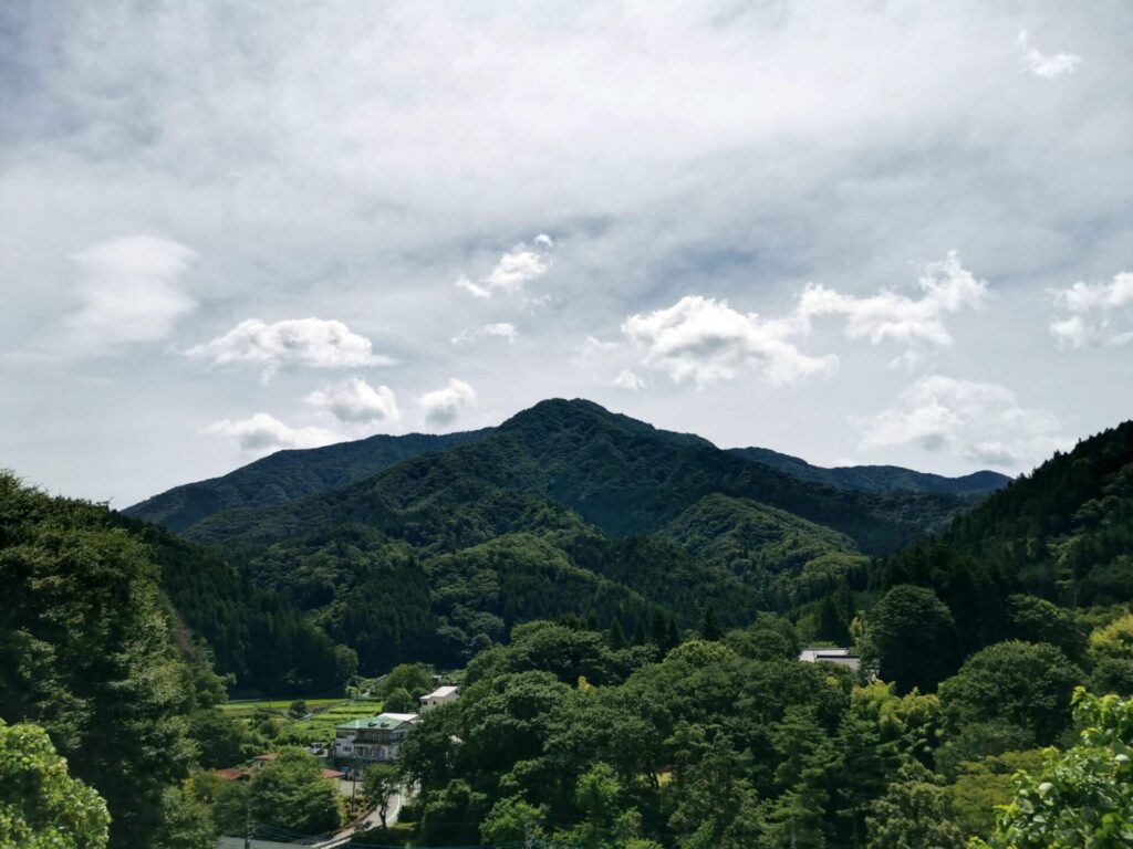 加入道山