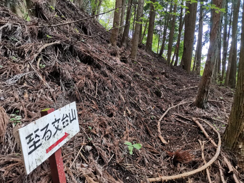 登山道