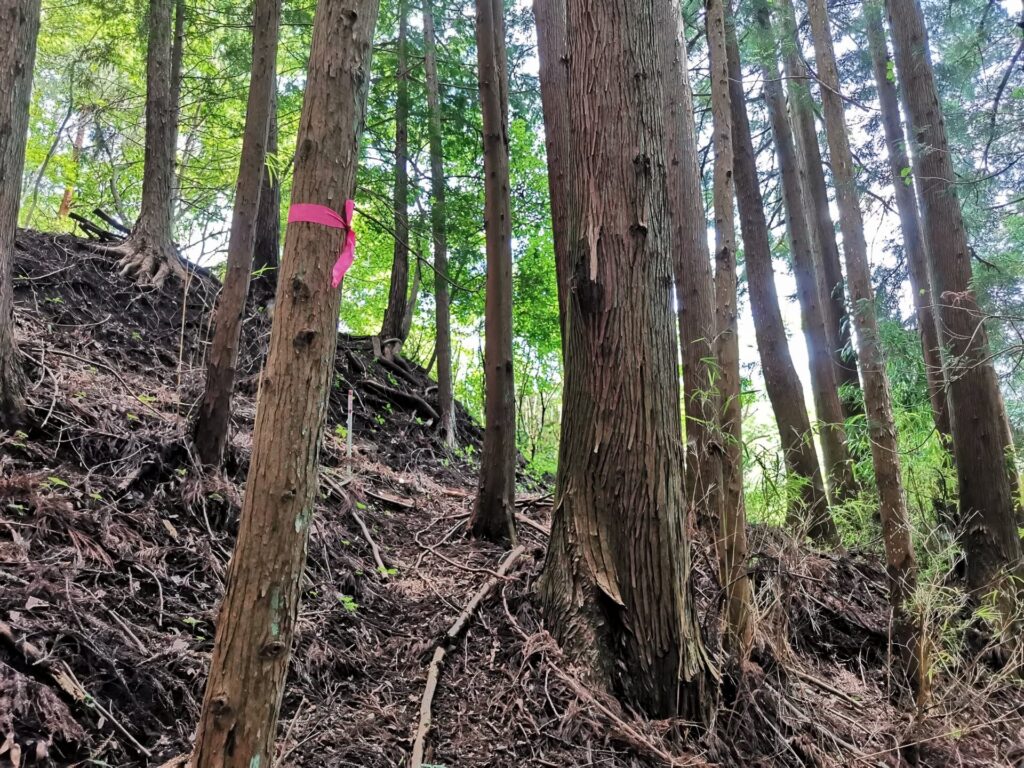 登山道