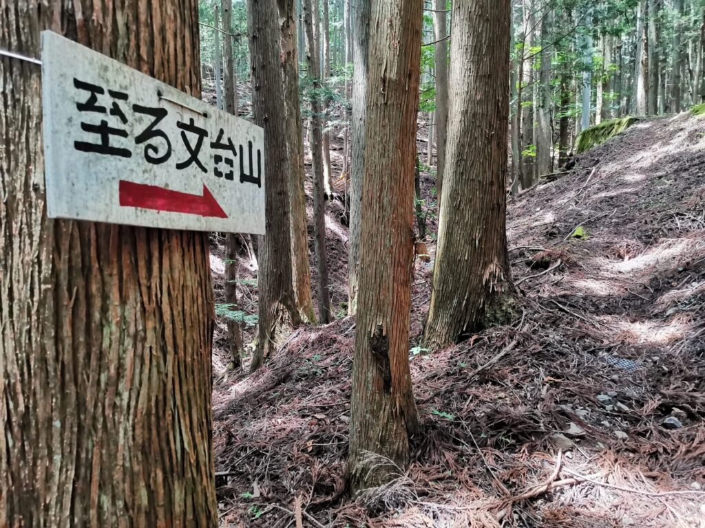 登山道