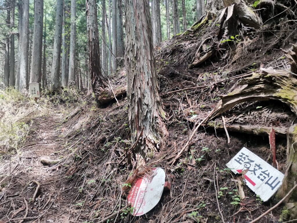 登山道 道標