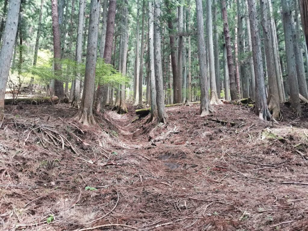 登山道