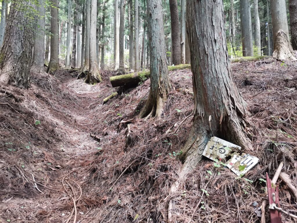 登山道