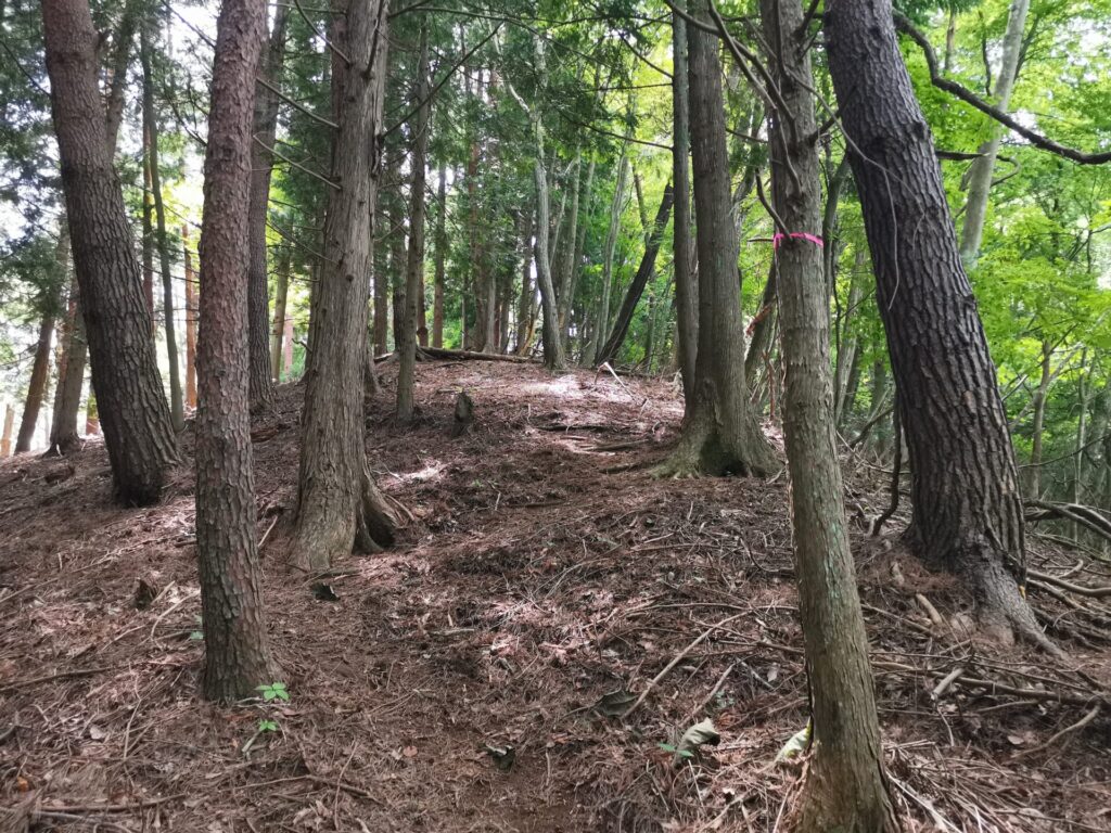 登山道