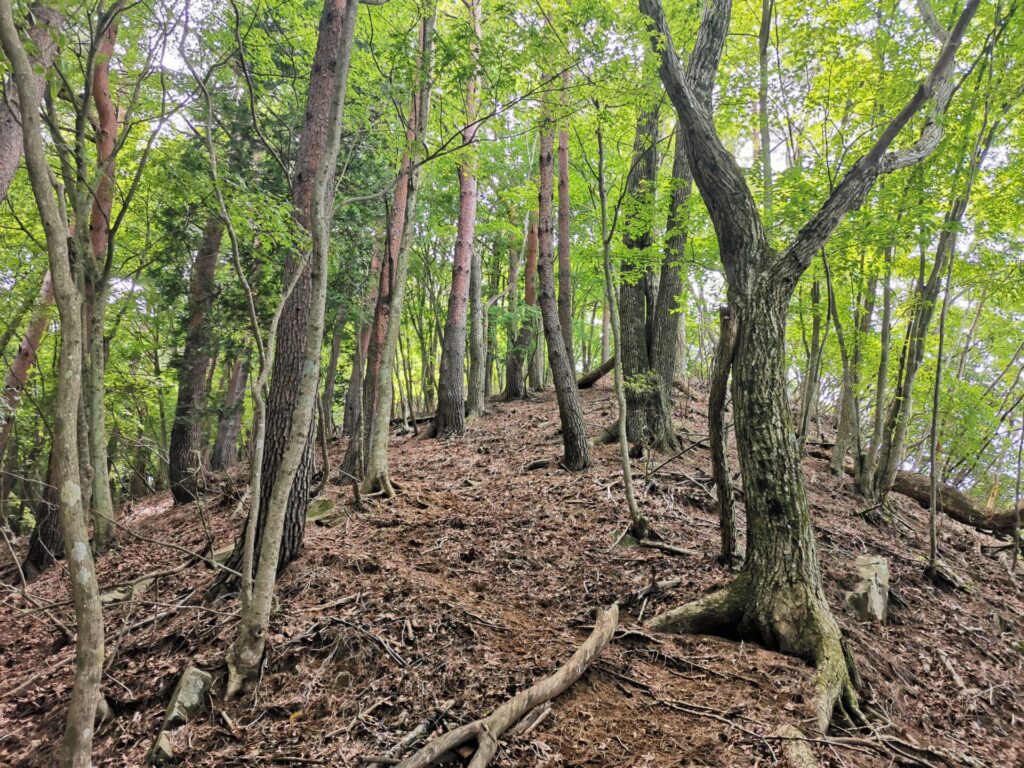 登山道