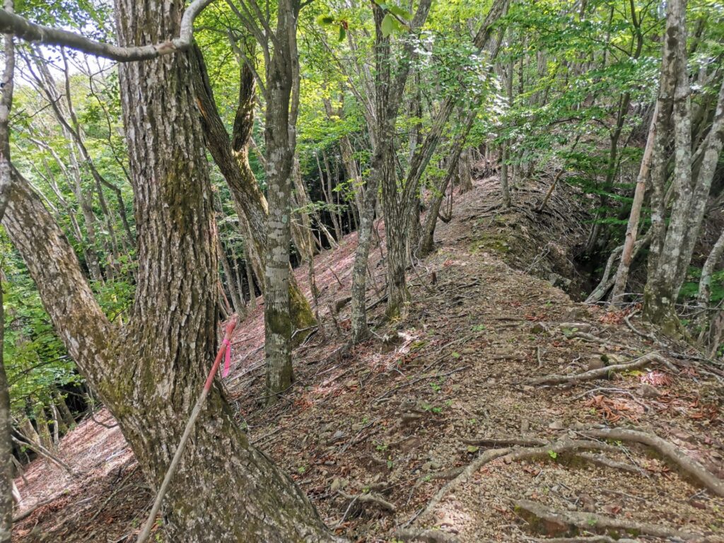 登山道