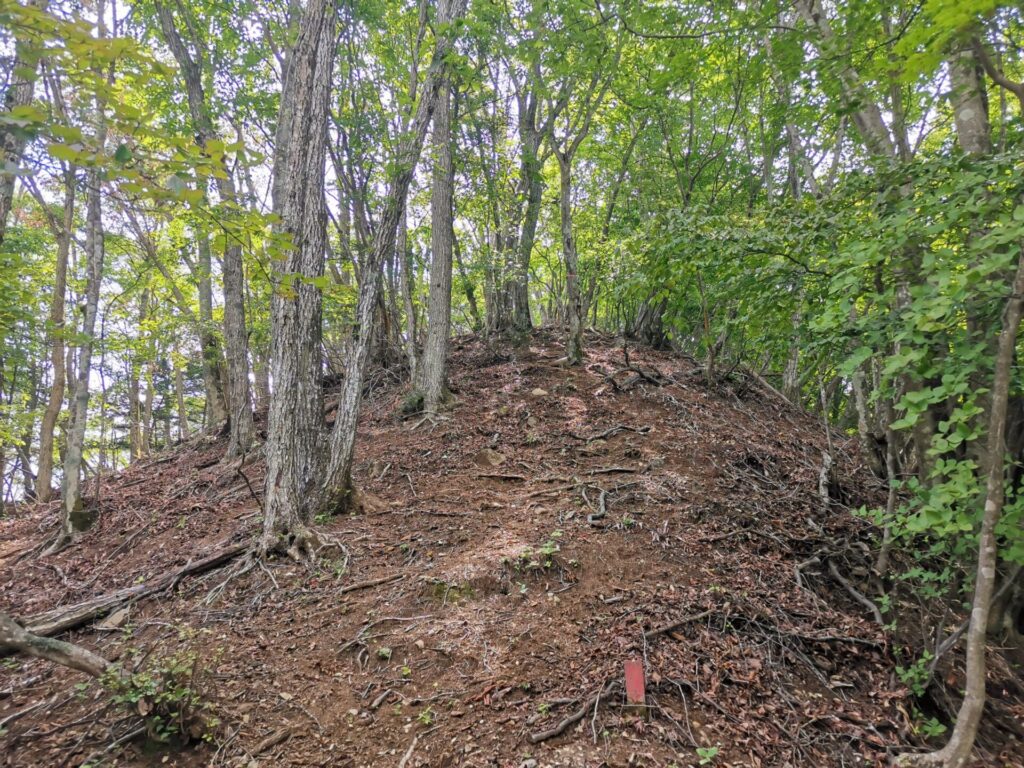 登山道