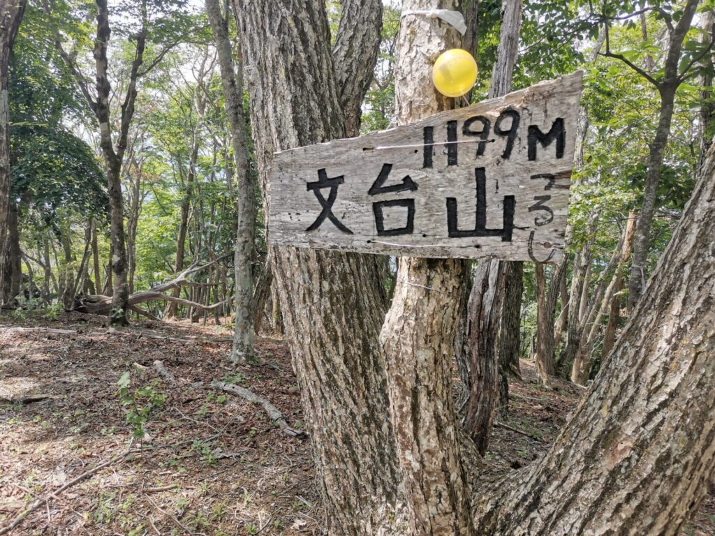 文台山 山頂