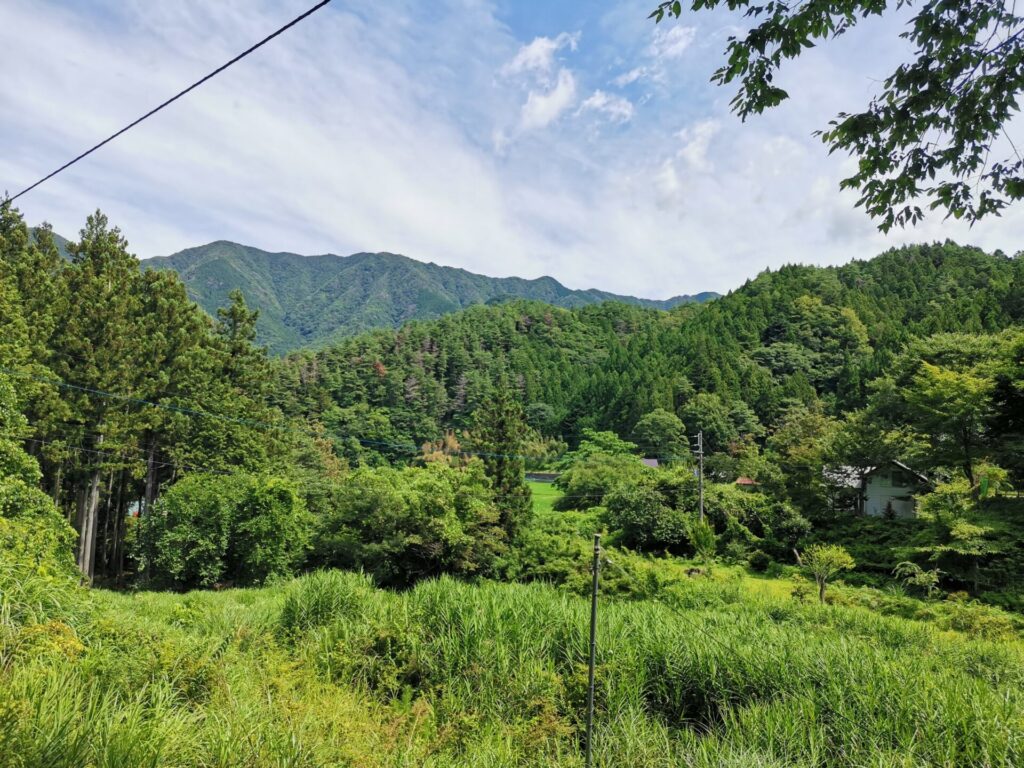 道志山塊