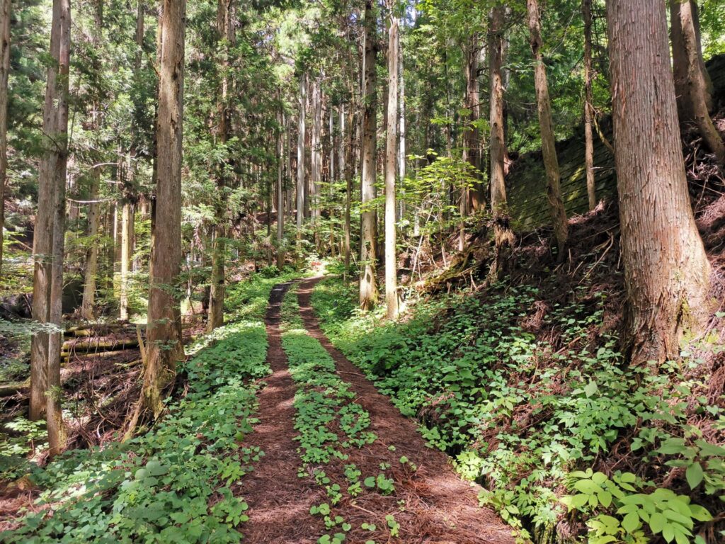 登山道