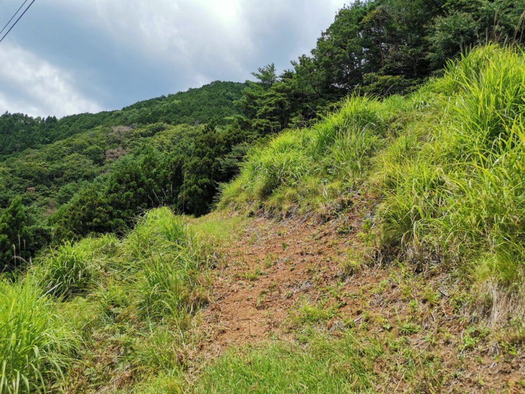 登山道