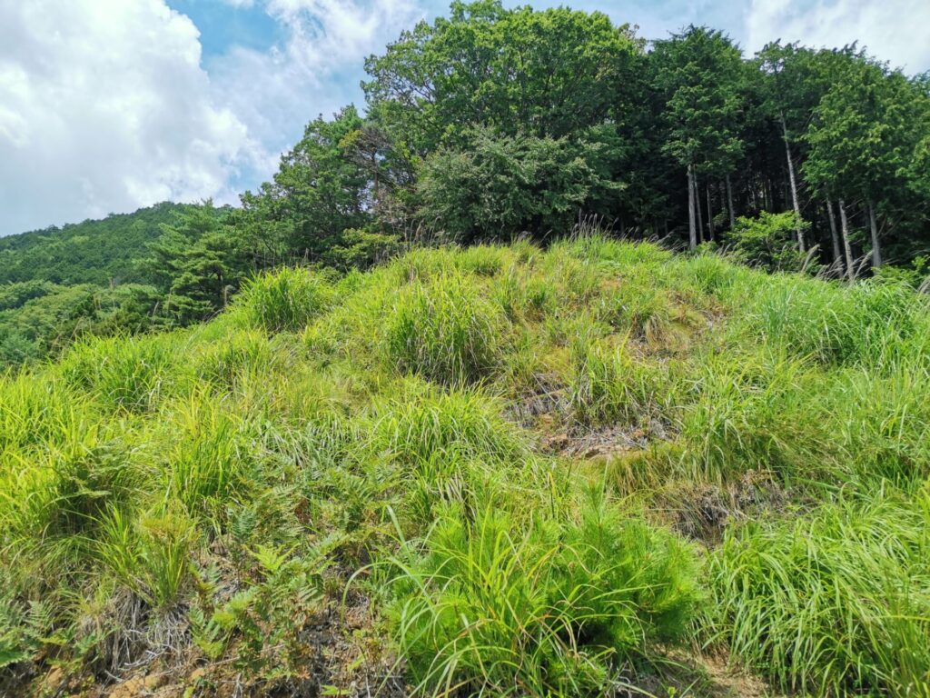 登山道