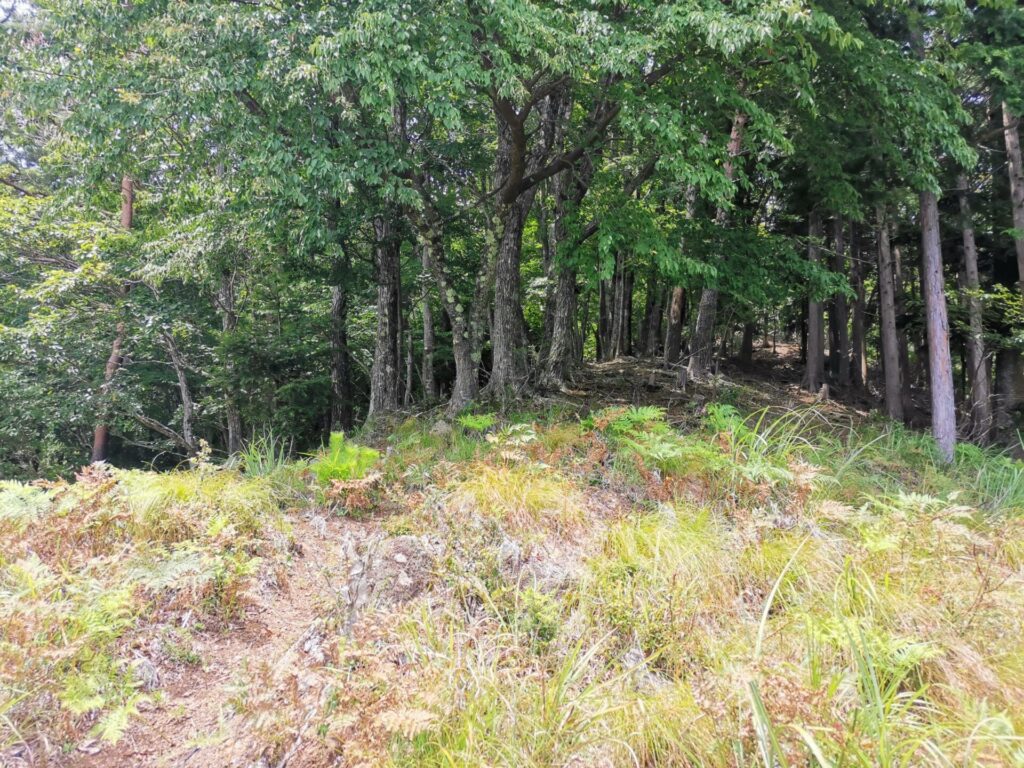 登山道