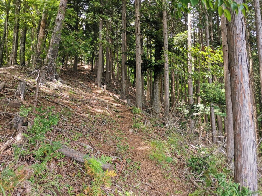 登山道