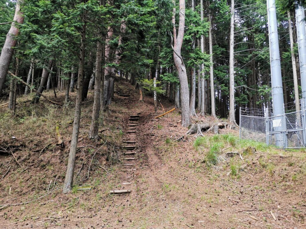 登山道