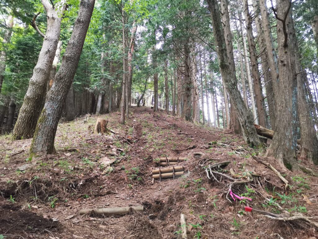 登山道