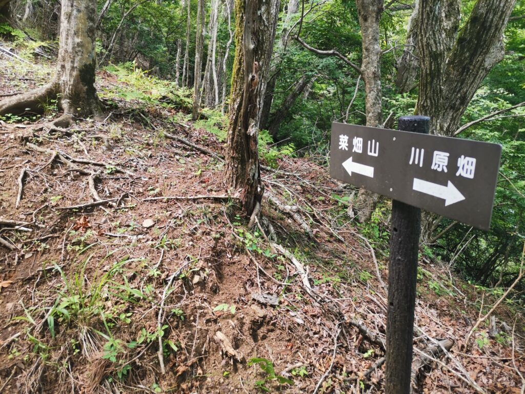 菜畑山 道標