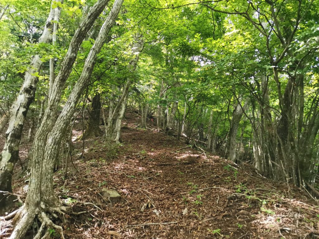 登山道