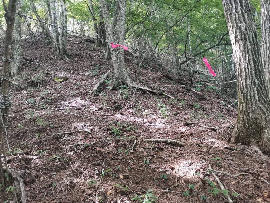 登山道