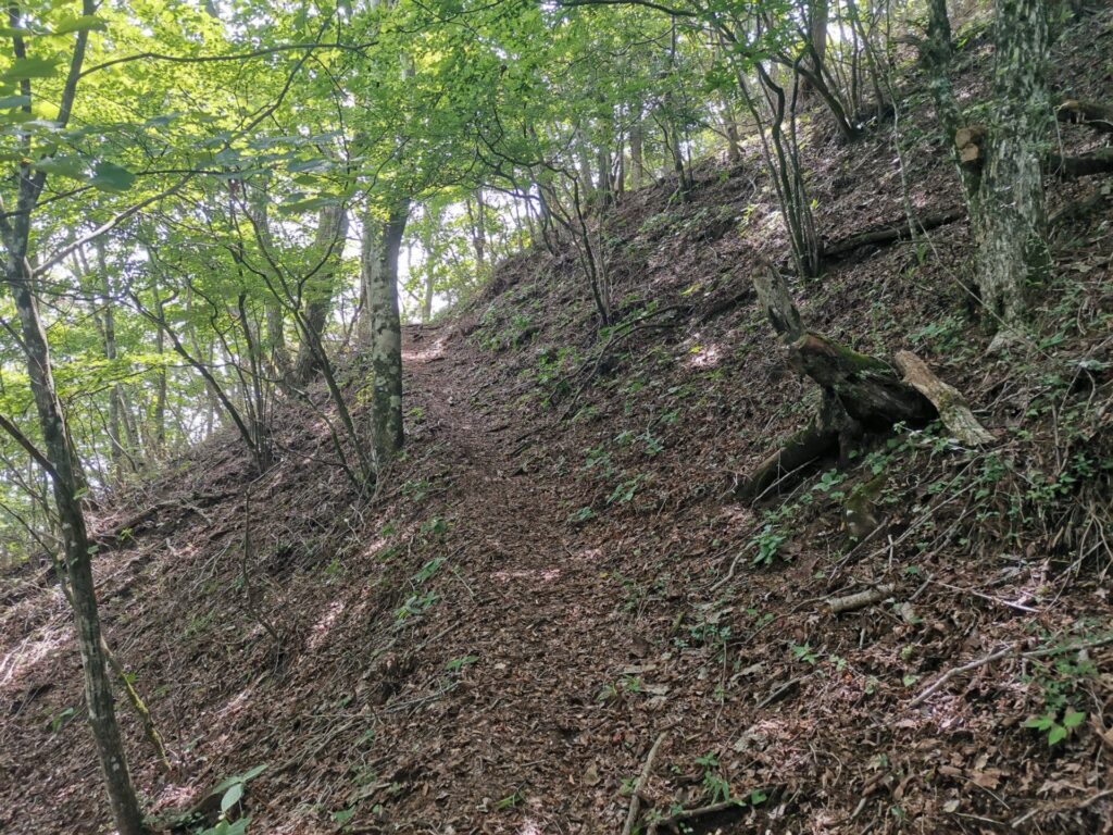 登山道