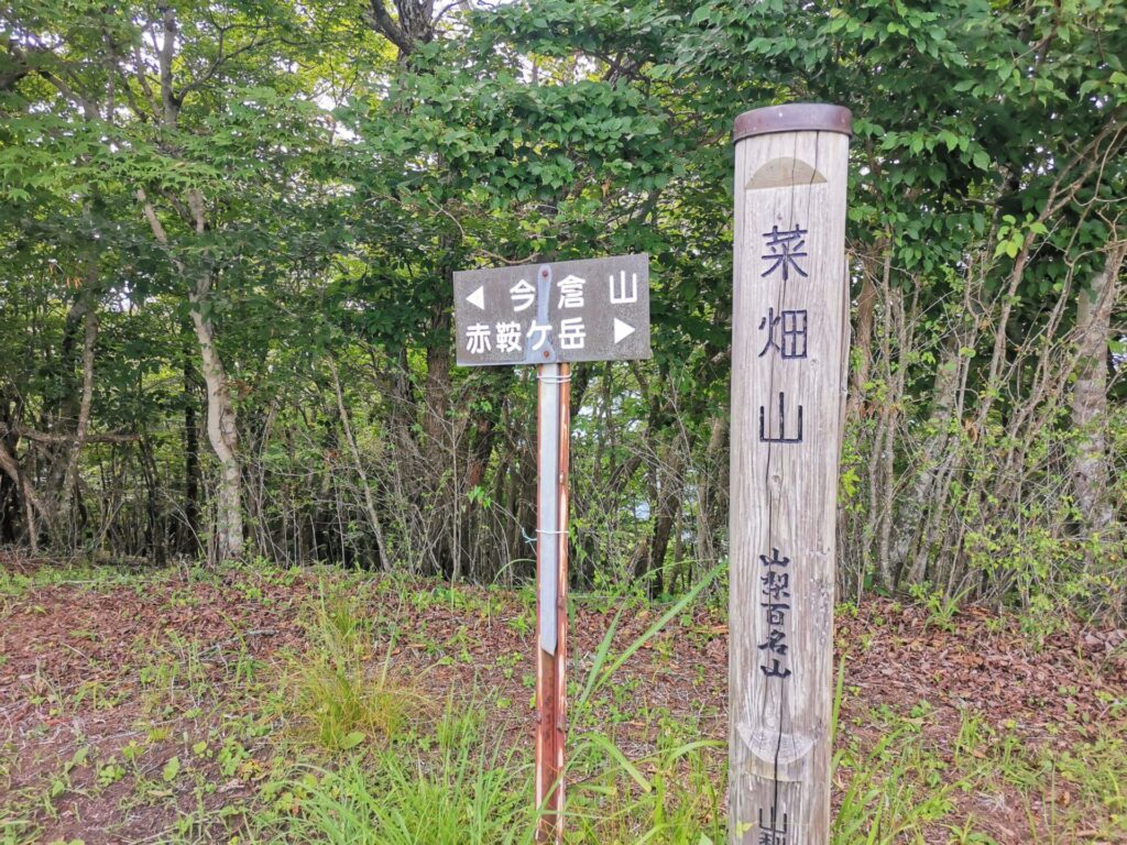 菜畑山 山頂