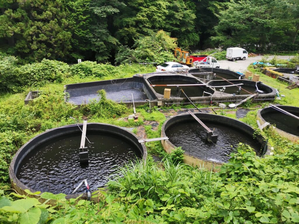 養魚場