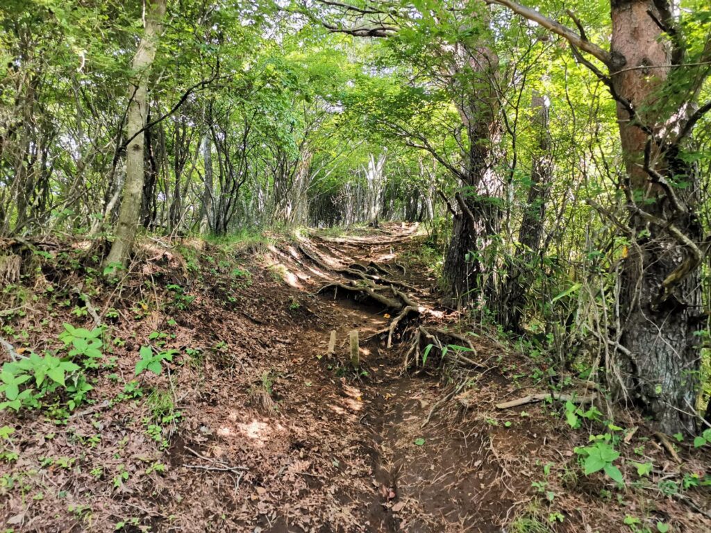 登山道