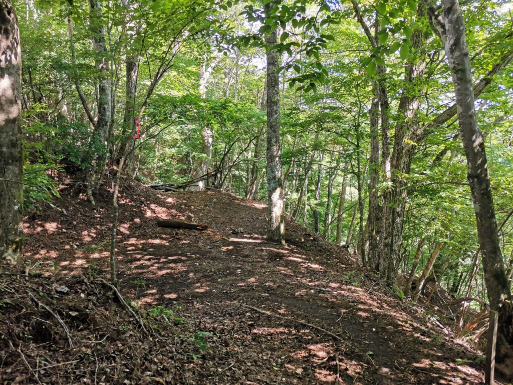 登山道