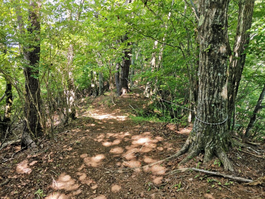 登山道