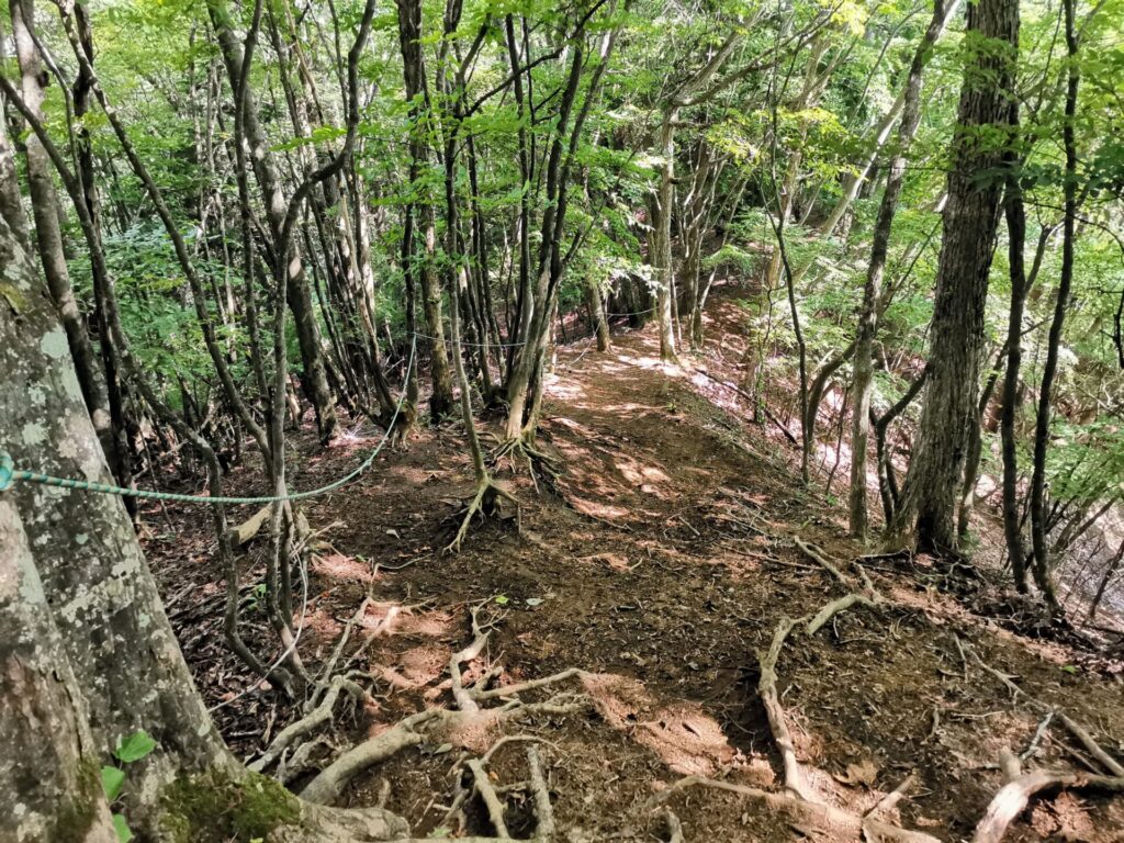 登山道