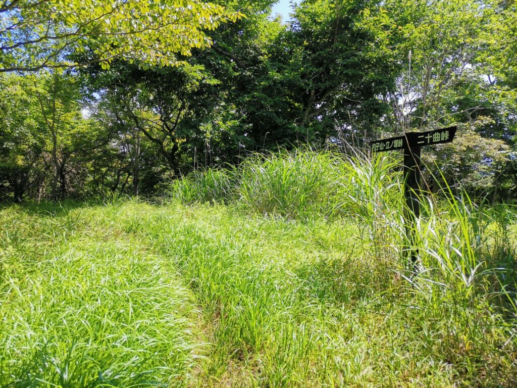 登山道