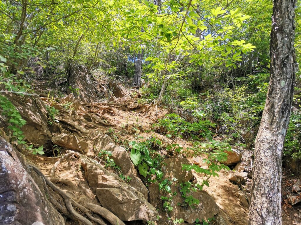 登山道