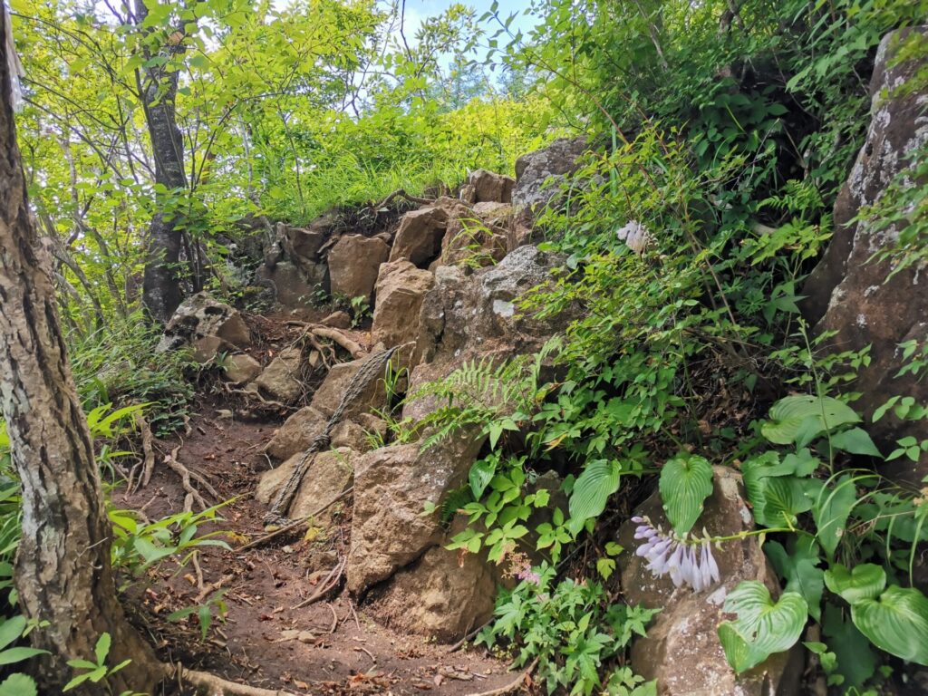 登山道